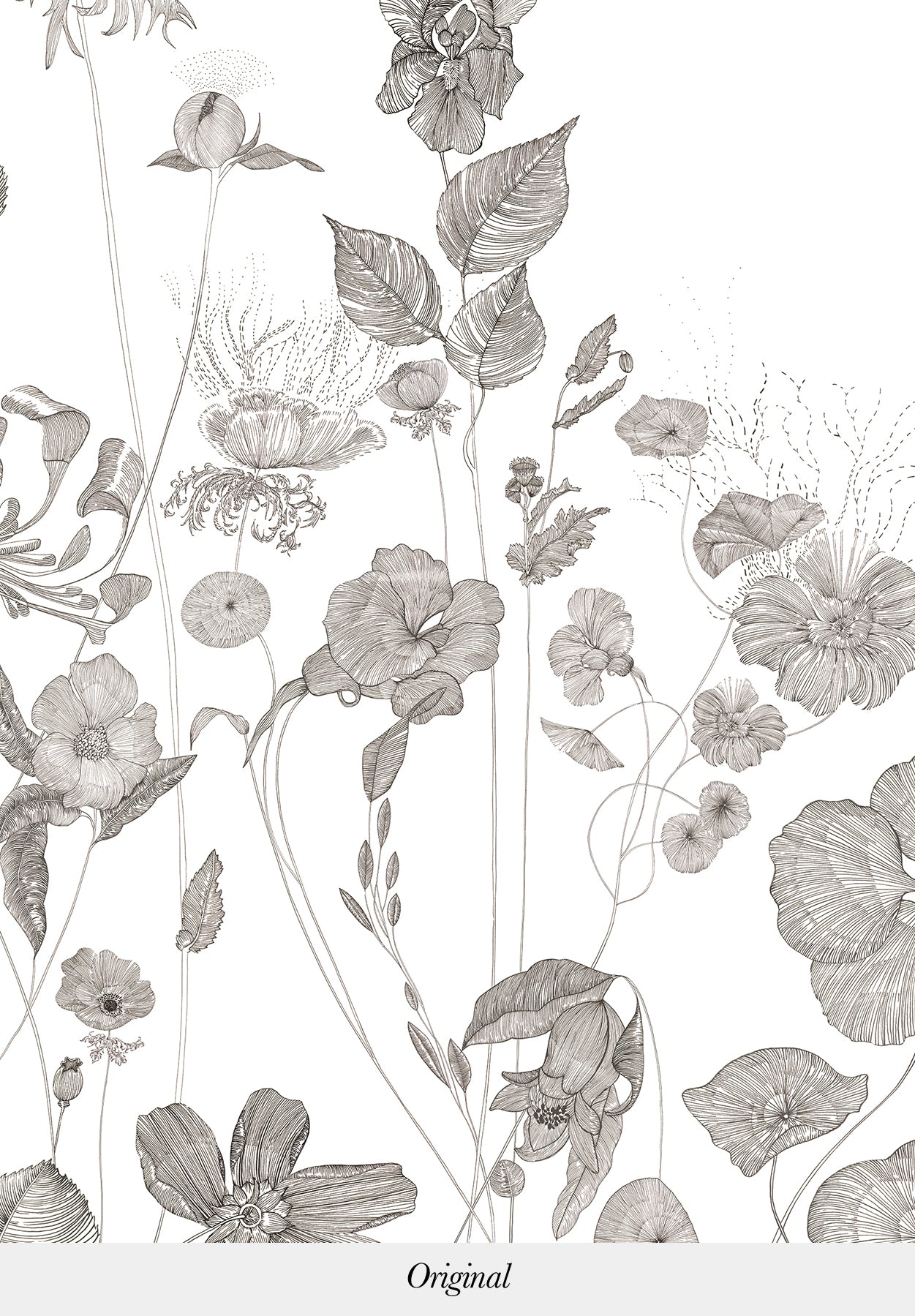 Prairie