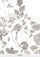 Prairie