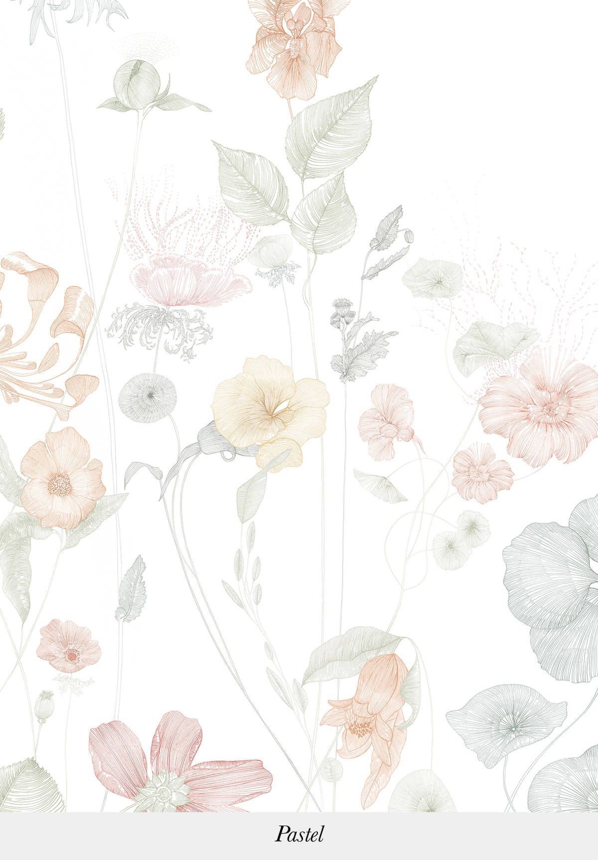 Papier peint déco Prairie graphique - motif de fleurs de champs sur fond blanc