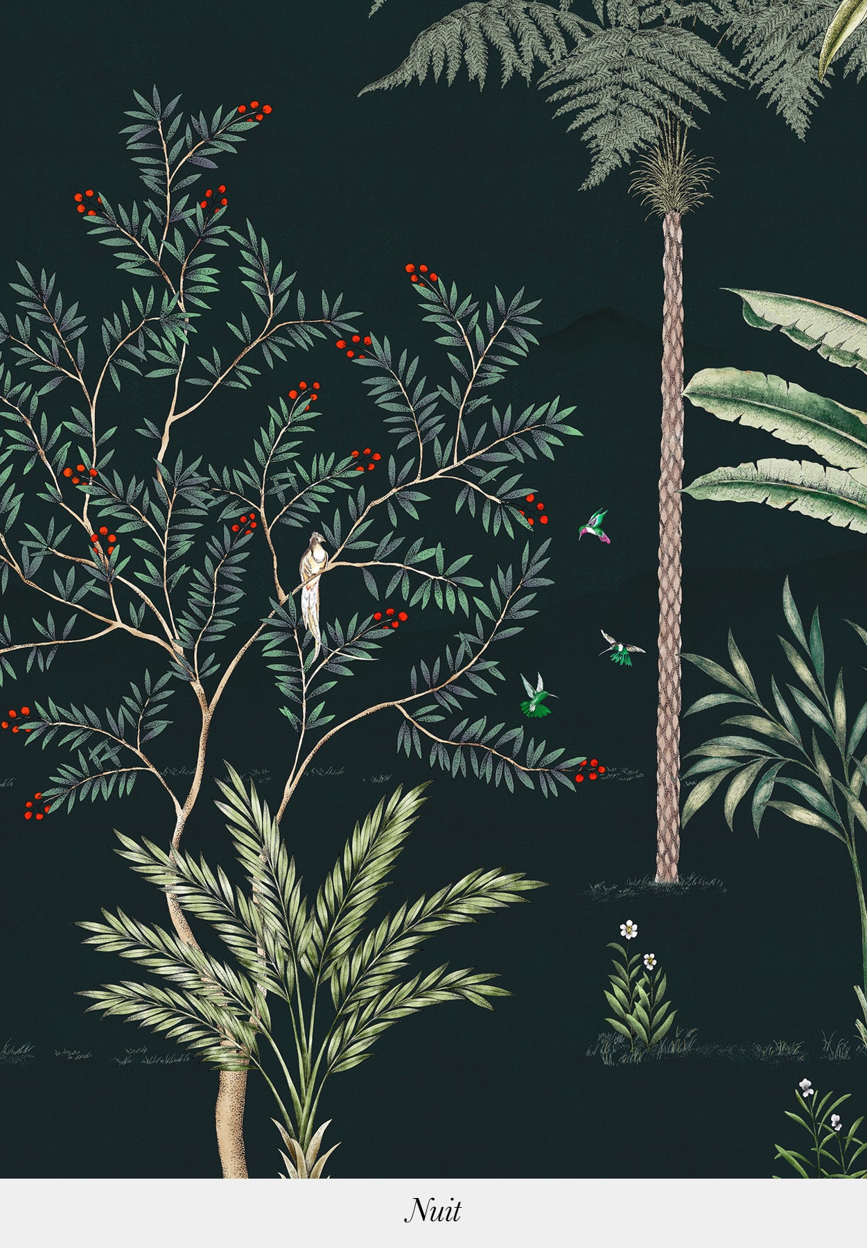 Jardin des oiseaux
