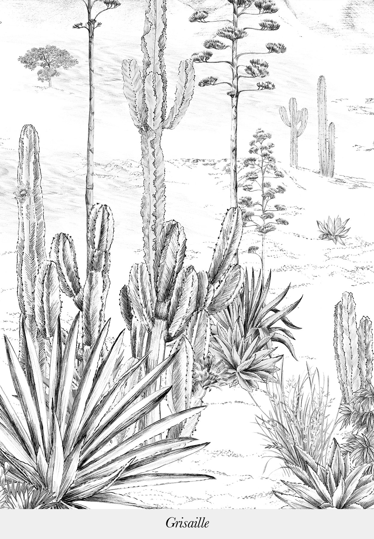 Succulentes