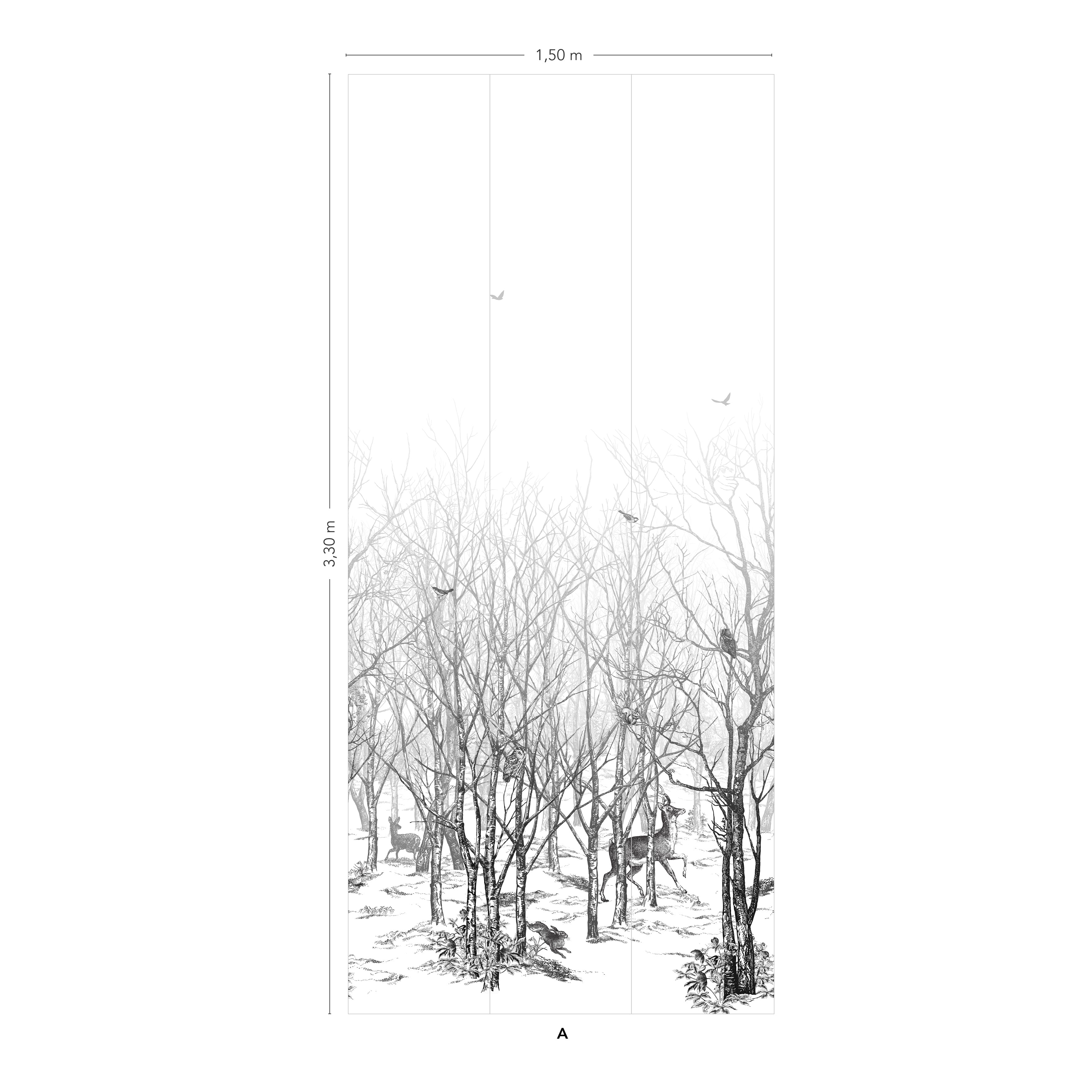 Forêt Enchantée