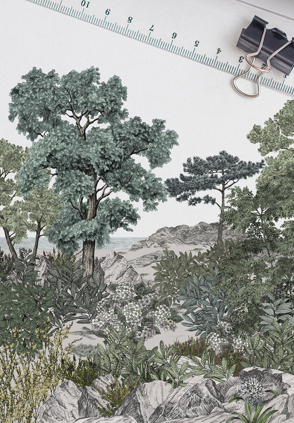 Papier peint Succulentes par Martine Dubreucq et Isabelle
