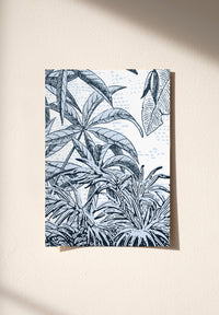 AMAZONE ÉCHANTILLON