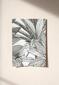 Riviera échantillon