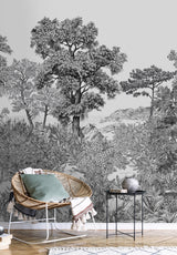 FORÊT DE BRETAGNE Grisaille